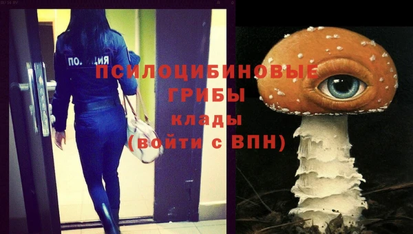 твердый Медвежьегорск