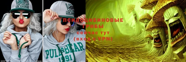 Альфа ПВП Мегион