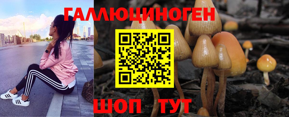Псилоцибиновые грибы ЛСД  Вход с VPN  купить наркотики сайты  Псилоцибиновые грибы Psilocybe  Нерюнгри 
